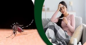 Dengue Ateşi